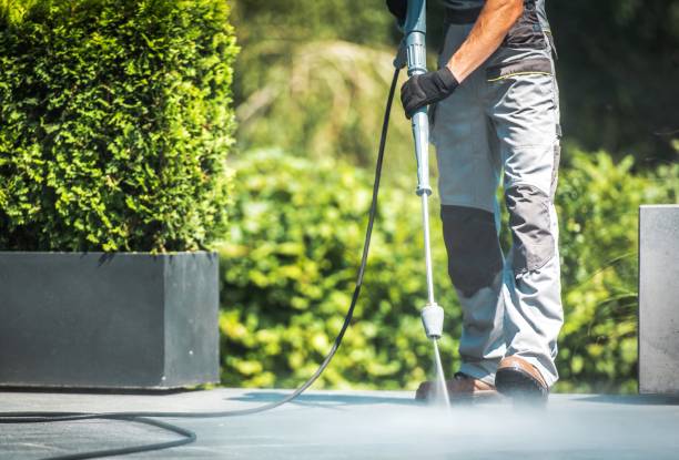 Best Gutter Cleaning  in Hebbronville, TX