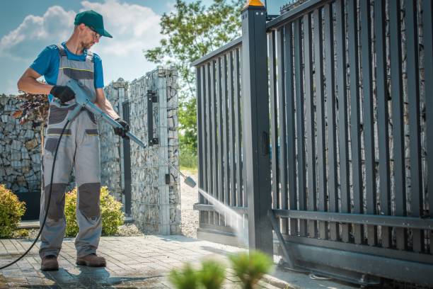 Best Residential Exterior Washing  in Hebbronville, TX