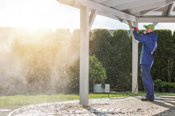 Pre-Holiday Cleaning in Hebbronville, TX