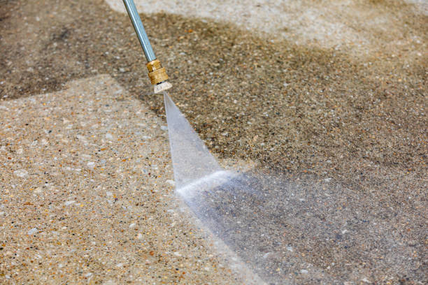 Best Restaurant Pressure Washing  in Hebbronville, TX