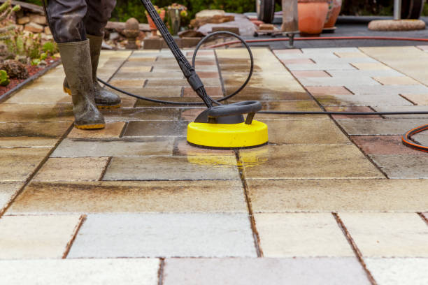 Best Animal Enclosure Cleaning  in Hebbronville, TX