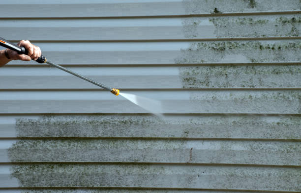 Solar Panel Cleaning in Hebbronville, TX