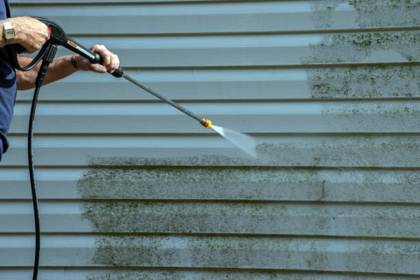 Best Warehouse Cleaning  in Hebbronville, TX
