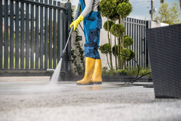Best Pre-Holiday Cleaning  in Hebbronville, TX