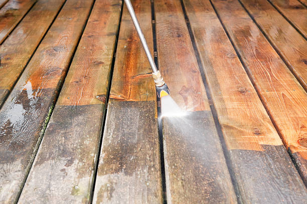 Best Animal Enclosure Cleaning  in Hebbronville, TX
